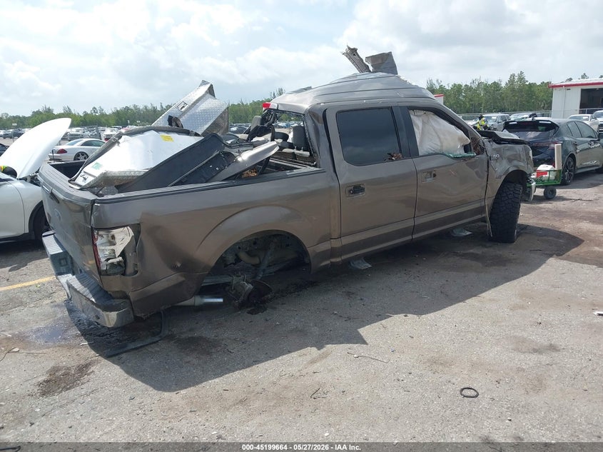 Vin: 1ftew1cp0kfb33683, lot: 45697392, ford f-150 xlt 20194