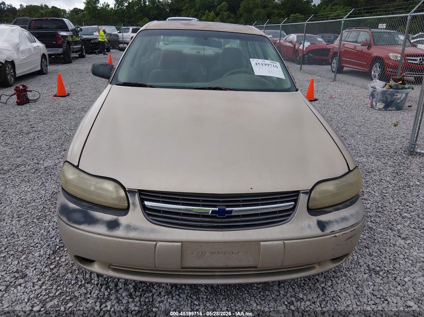 2002 Chevrolet Malibu VIN: 1G1ND52JX2M554583 Lot: 45199716