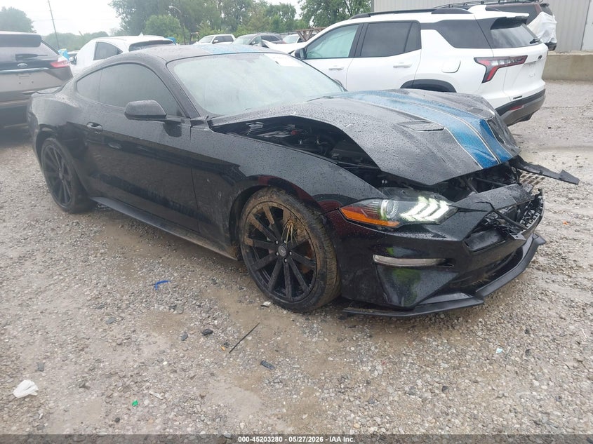 2019 Ford Mustang