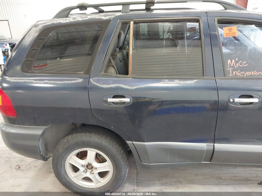 2004 Hyundai Santa Fe Gls/Lx VIN: KM8SC73E14U836619 Lot: 45203714