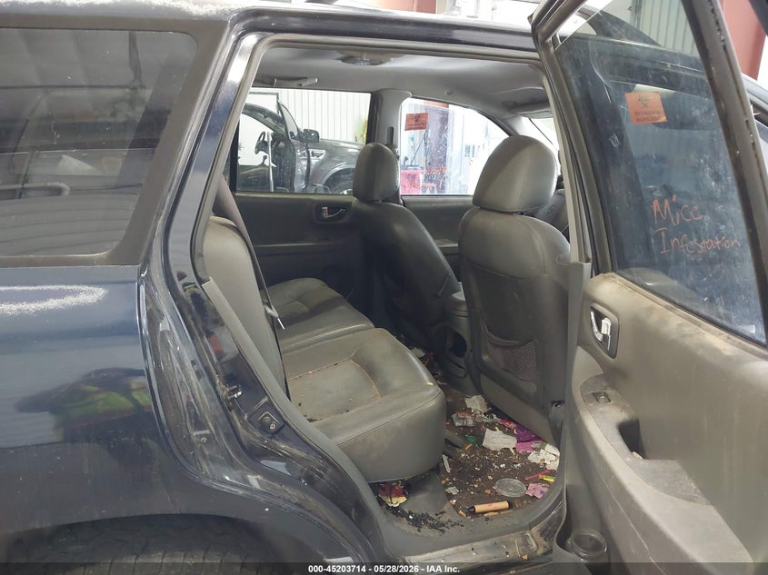 2004 Hyundai Santa Fe Gls/Lx VIN: KM8SC73E14U836619 Lot: 45203714