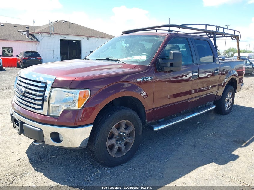 1FTFW1EV0AFC47133 2010 Ford F-150 Fx4/Harley-Davidson/King Ranch/Lariat/Platinum/Xl/Xlt photo 1