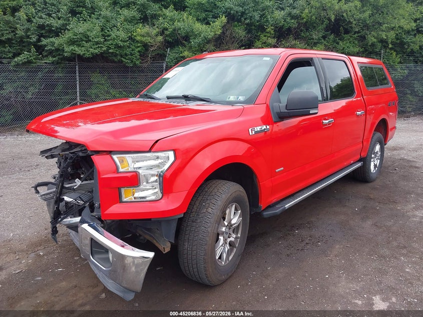 Vin: 1ftew1eg6ffa14667, lot: 45704577, ford f-150 xlt 20152