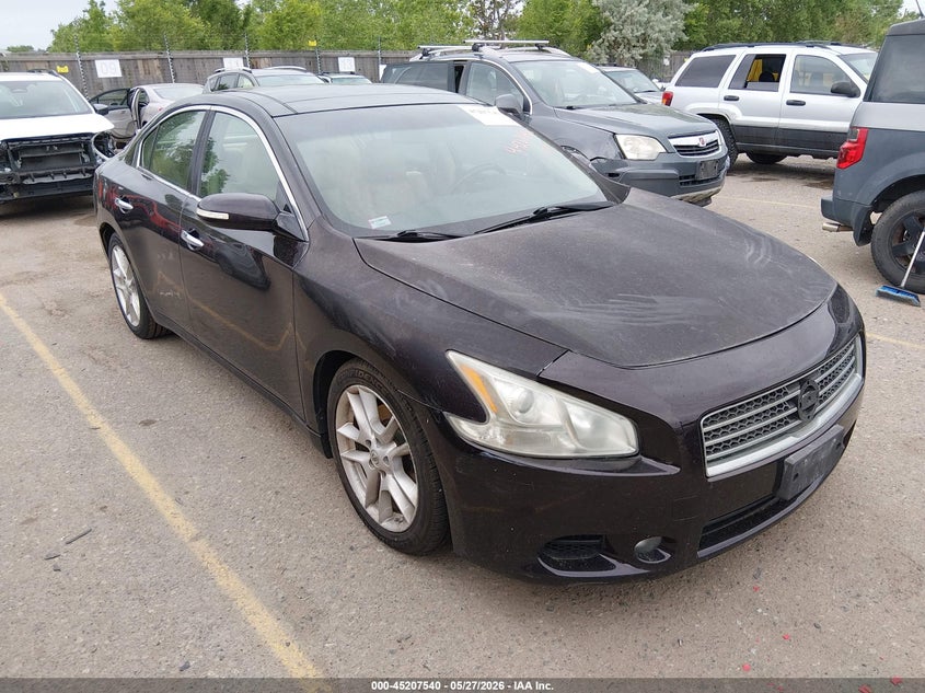 2010 NISSAN MAXIMA 3.5 SV