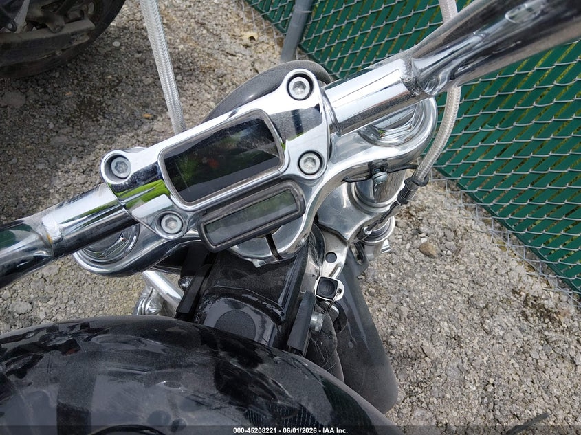 2021 Harley-Davidson Fxst VIN: 1HD1BVJ15MB024841 Lot: 45208221
