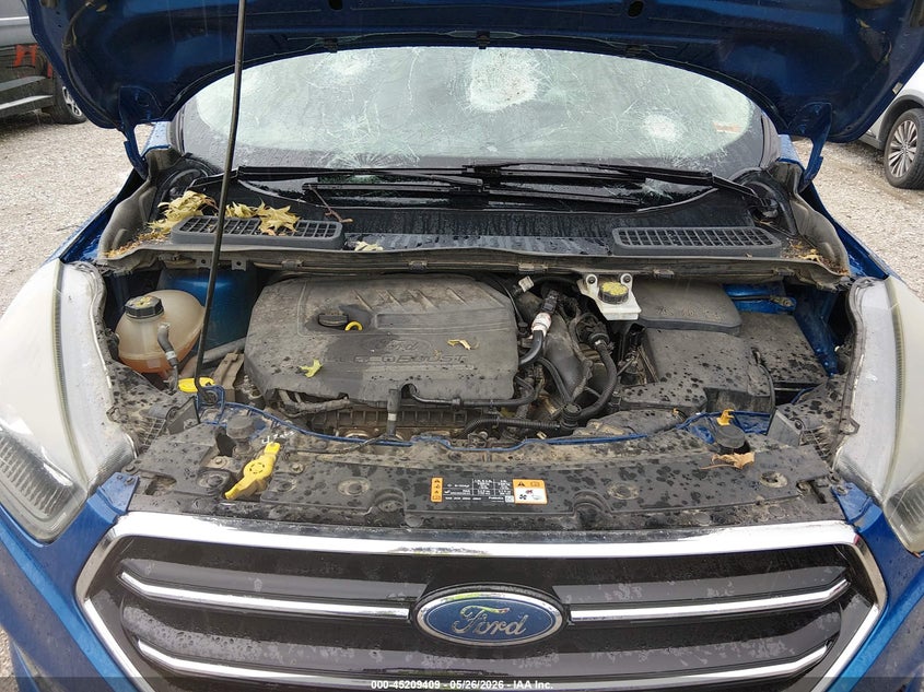 AtlanticExpress - Ford Escape