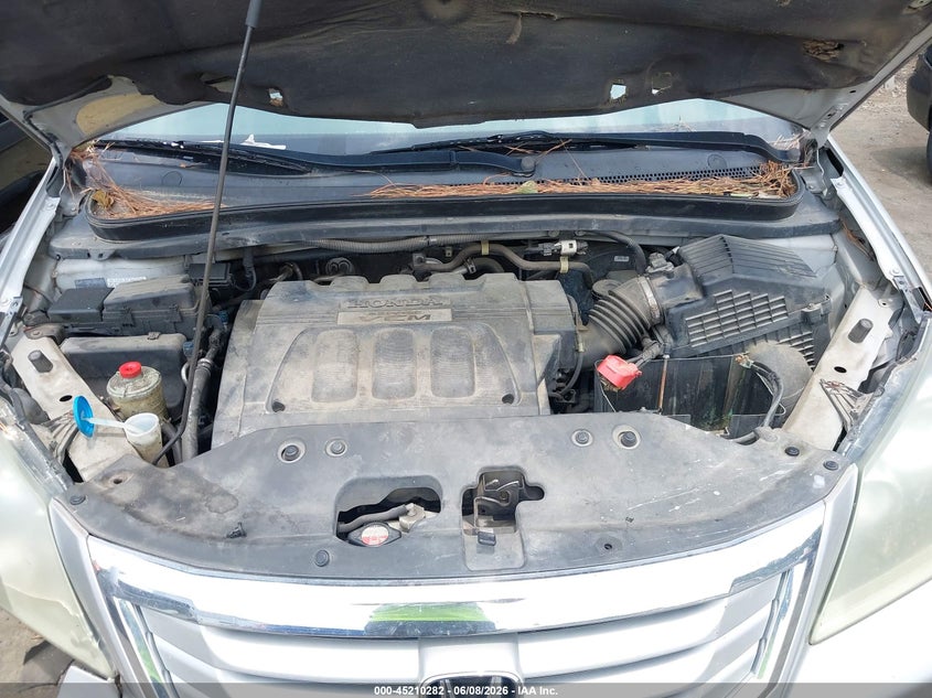 2009 Honda Odyssey Ex-L VIN: 5FNRL38669B036461 Lot: 45210282