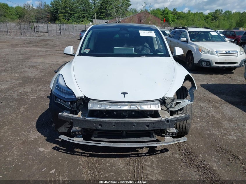 2023 Tesla Model Y Awd/Long Range Dual Motor All-Wheel Drive VIN: 7SAYGDEE1PA033496 Lot: 45215648
