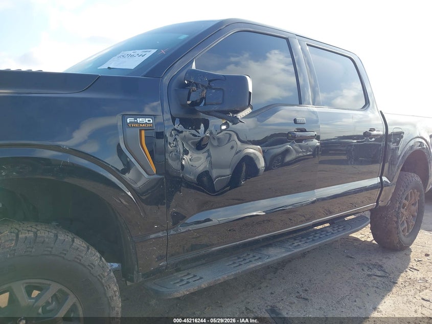 2025 FORD F-150 auction photo 6