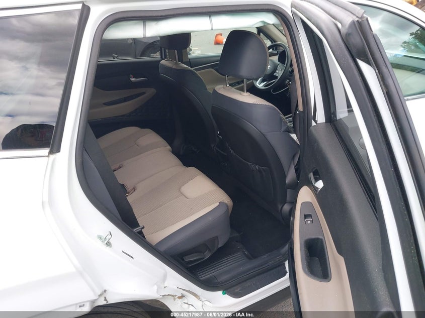 2020 Hyundai Santa Fe Se VIN: 5NMS2CAD8LH289798 Lot: 45217987