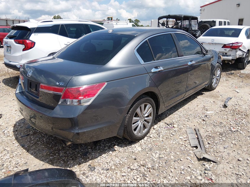 AtlanticExpress - Honda Accord