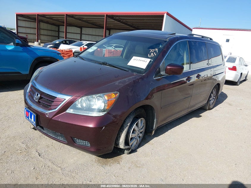 2009 Honda Odyssey Ex-L VIN: 5FNRL38649B003541 Lot: 45220984