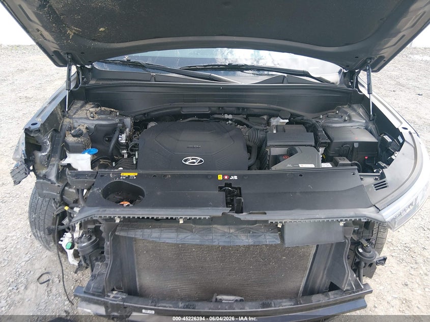 2020 Hyundai Palisade Sel VIN: KM8R4DHE8LU100987 Lot: 45226394