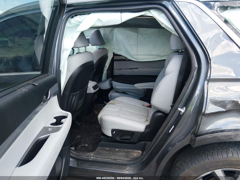 2020 Hyundai Palisade Sel VIN: KM8R4DHE8LU100987 Lot: 45226394