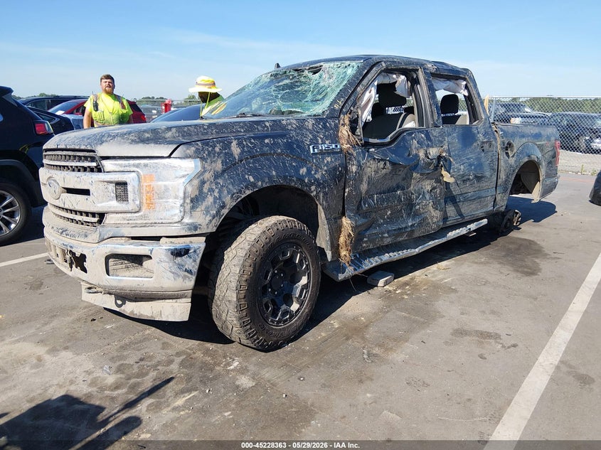 Vin: 1ftew1e40kkc53008, lot: 45726124, ford f-150 xlt 20192