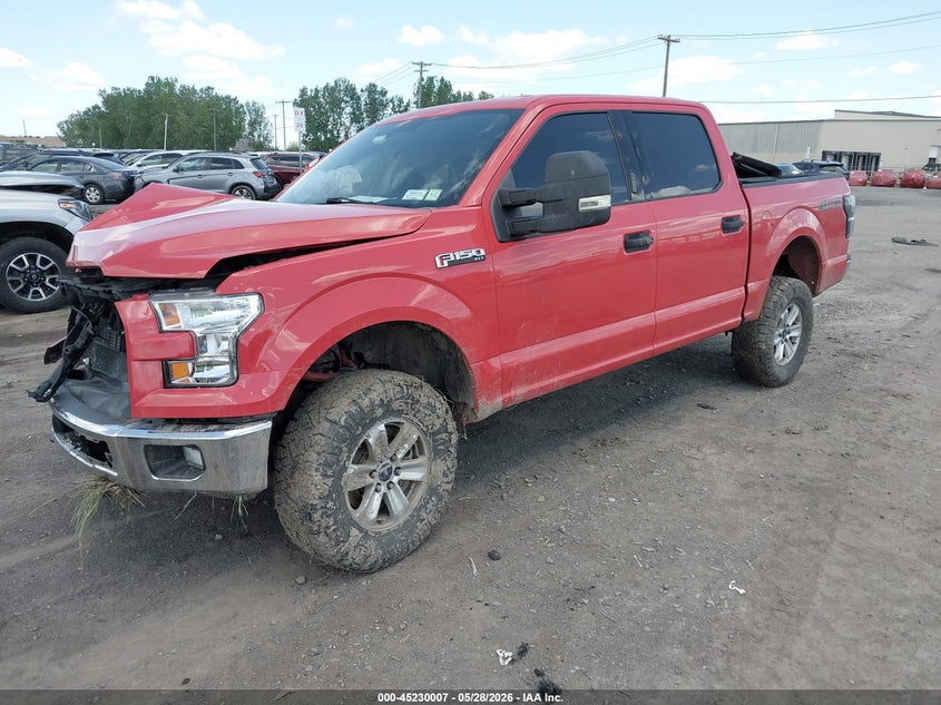 Vin: 1ftew1ep8ffd04943, lot: 45727768, ford f-150 xlt 20152