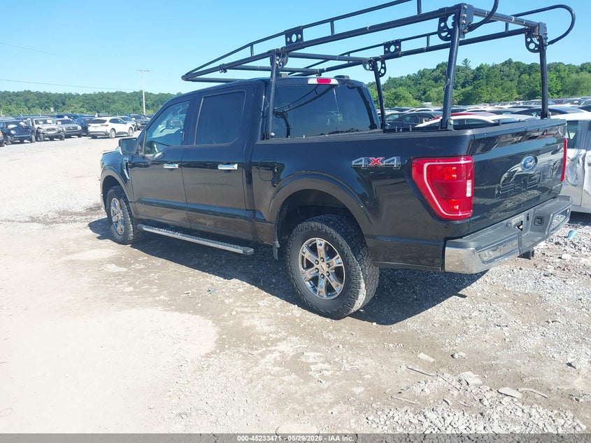 Vin: 1ftfw1e51mfa71780, lot: 45731262, ford f-150 xlt 20213