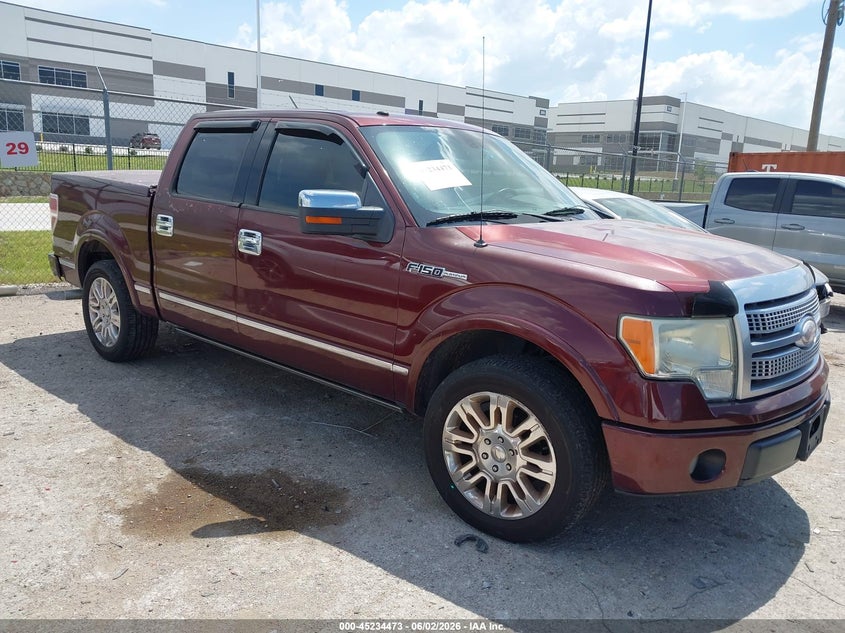 2009 Ford Platinum