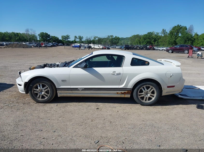 2006 Ford Mustang Gt VIN: 1ZVFT82H565205101 Lot: 45235251