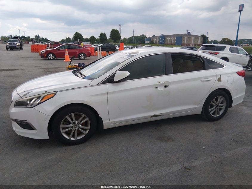 AtlanticExpress - Hyundai Sonata