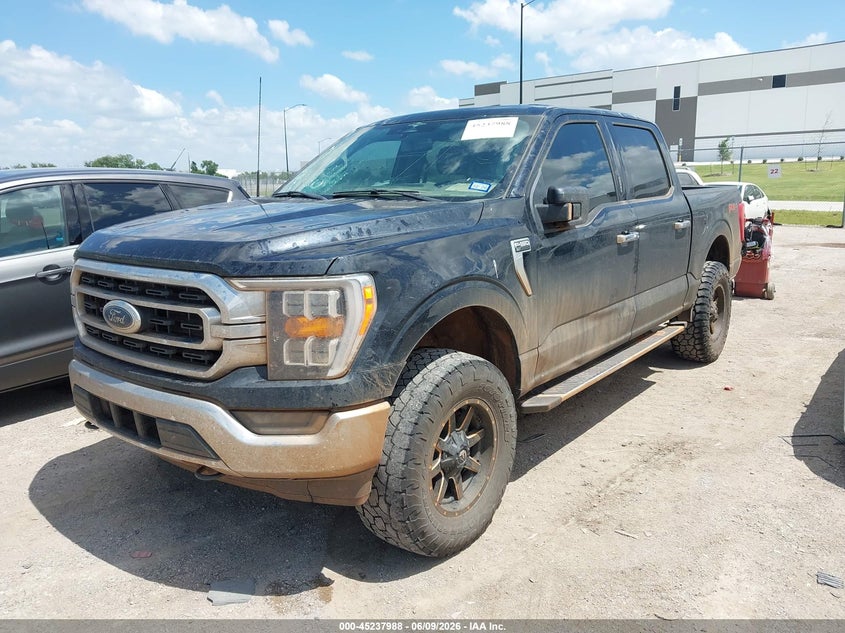 Vin: 1ftfw1e83pfc50028, lot: 45735779, ford f-150 xlt 20232