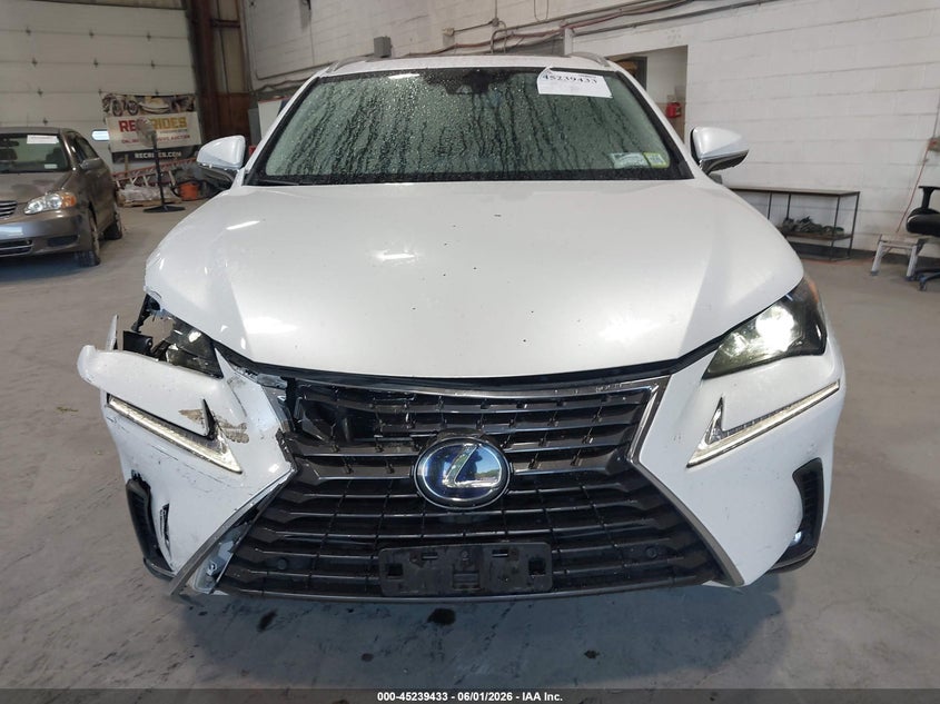 2020 Lexus Nx 300H VIN: JTJGJRDZ4L5008485 Lot: 45239433
