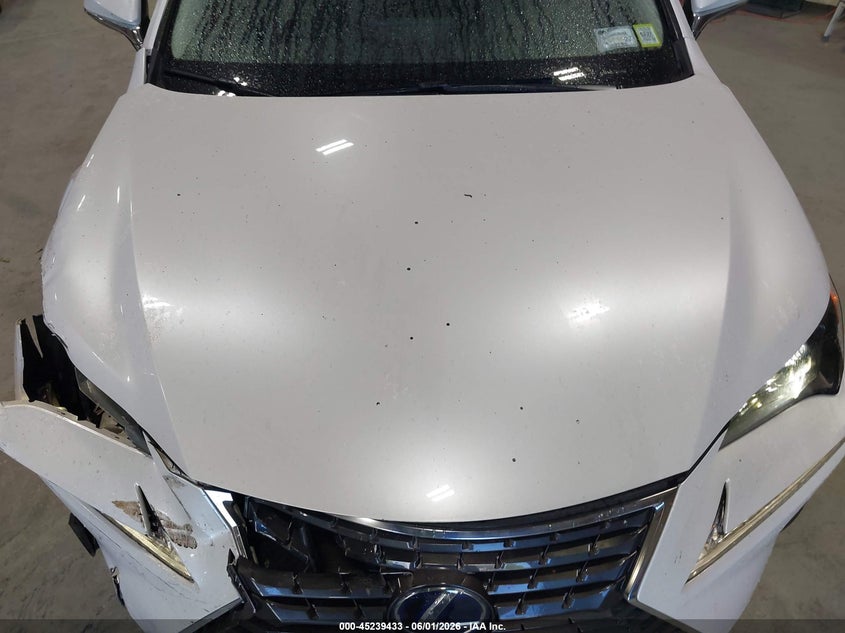 2020 Lexus Nx 300H VIN: JTJGJRDZ4L5008485 Lot: 45239433
