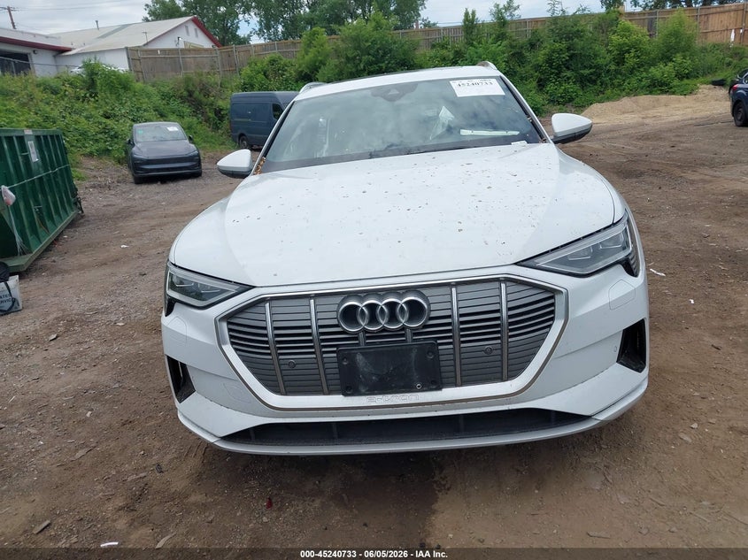 2021 Audi E-Tron Premium Quattro VIN: WA1AAAGE1MB003034 Lot: 45240733
