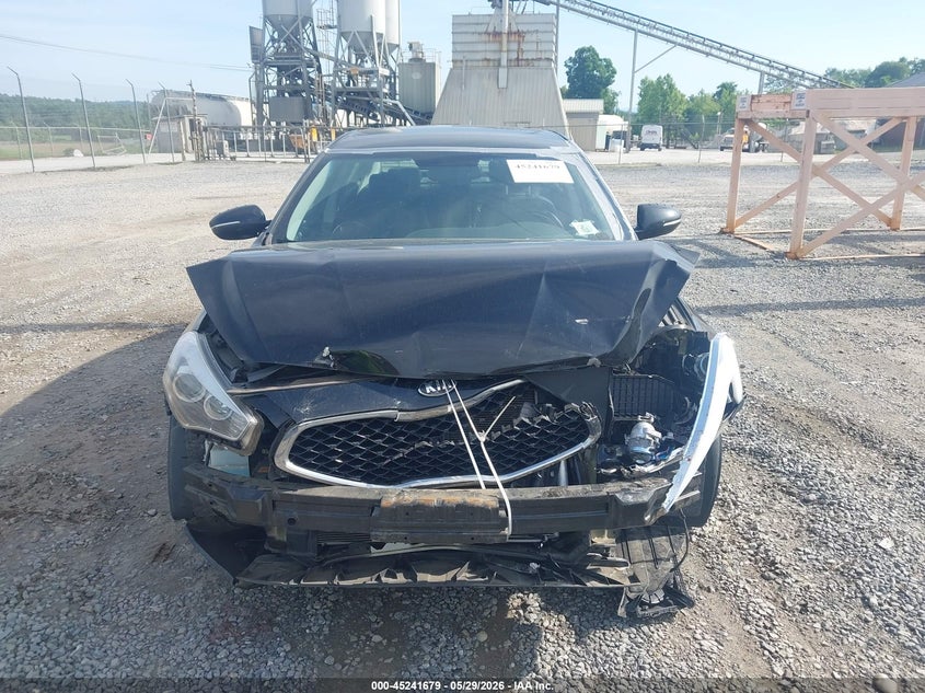 2014 Kia Cadenza Premium VIN: KNALN4D70E5166930 Lot: 45241679