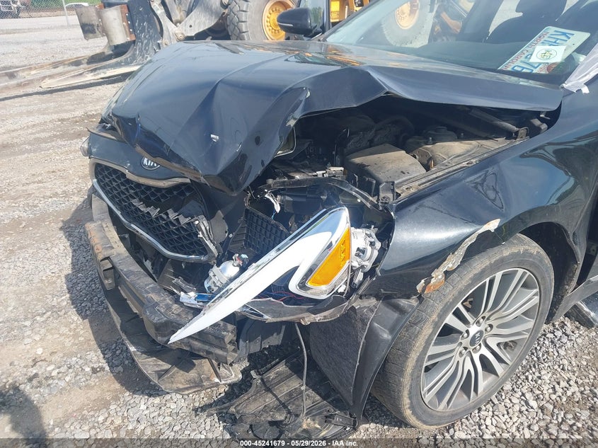2014 Kia Cadenza Premium VIN: KNALN4D70E5166930 Lot: 45241679