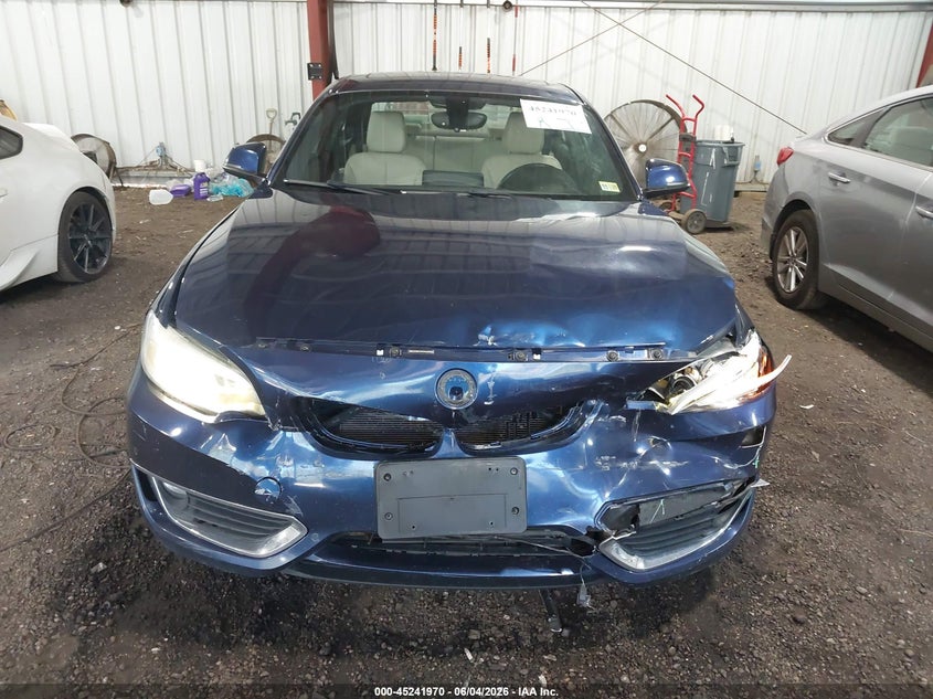2017 BMW 230I xDrive VIN: WBA2H9C31H7A25858 Lot: 45241970