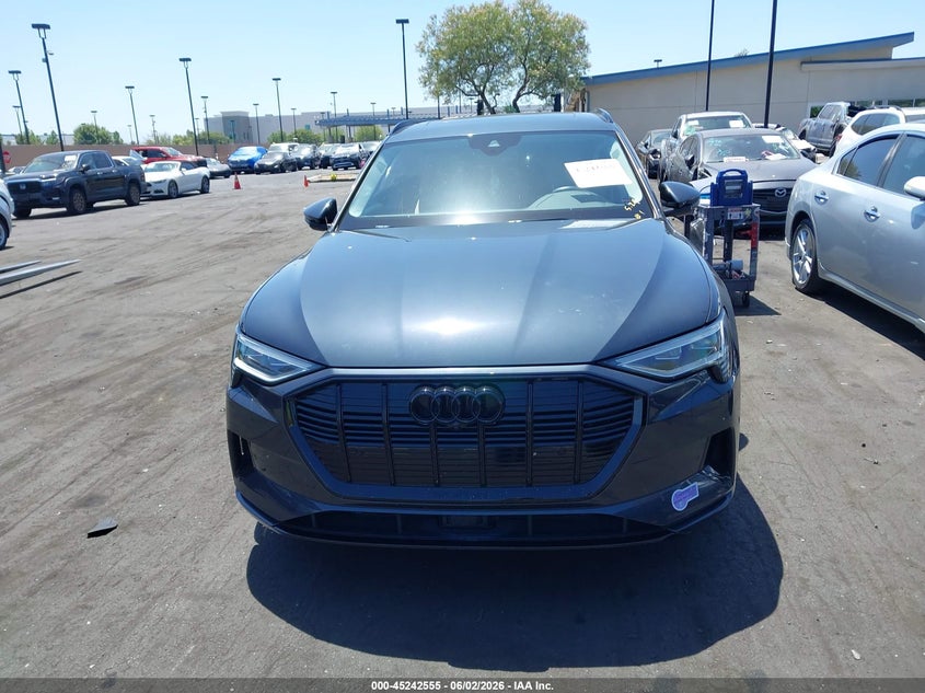 2019 Audi E-Tron Premium Plus VIN: WA1LAAGE1KB015688 Lot: 45242555