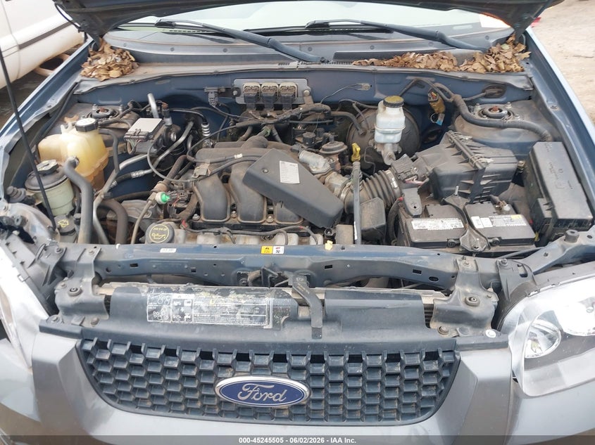 2005 Ford Escape Xlt VIN: 1FMCU03195KA08689 Lot: 45245505