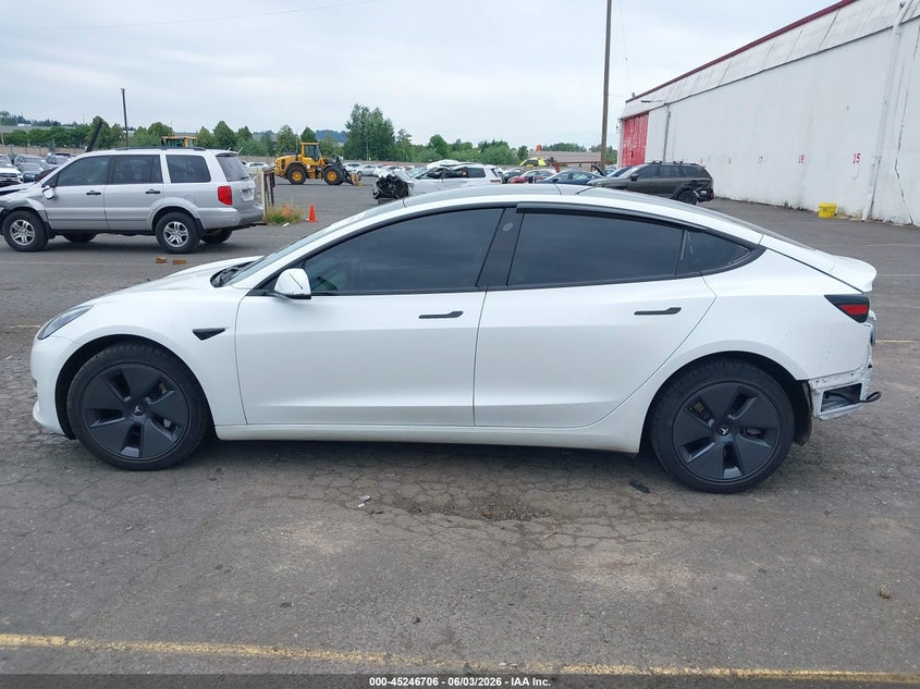 2023 Tesla Model 3 Rear-Wheel Drive VIN: 5YJ3E1EA7PF561555 Lot: 45246706