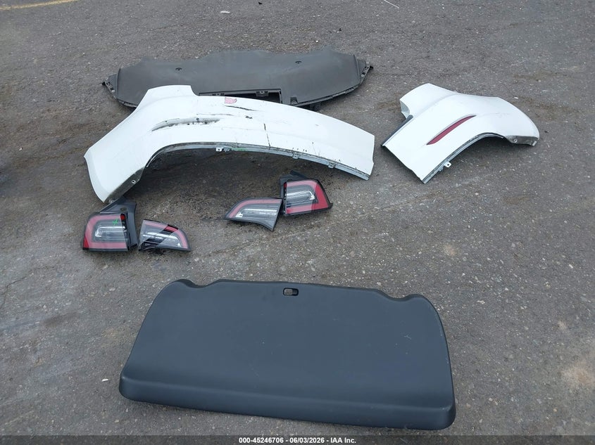 2023 Tesla Model 3 Rear-Wheel Drive VIN: 5YJ3E1EA7PF561555 Lot: 45246706