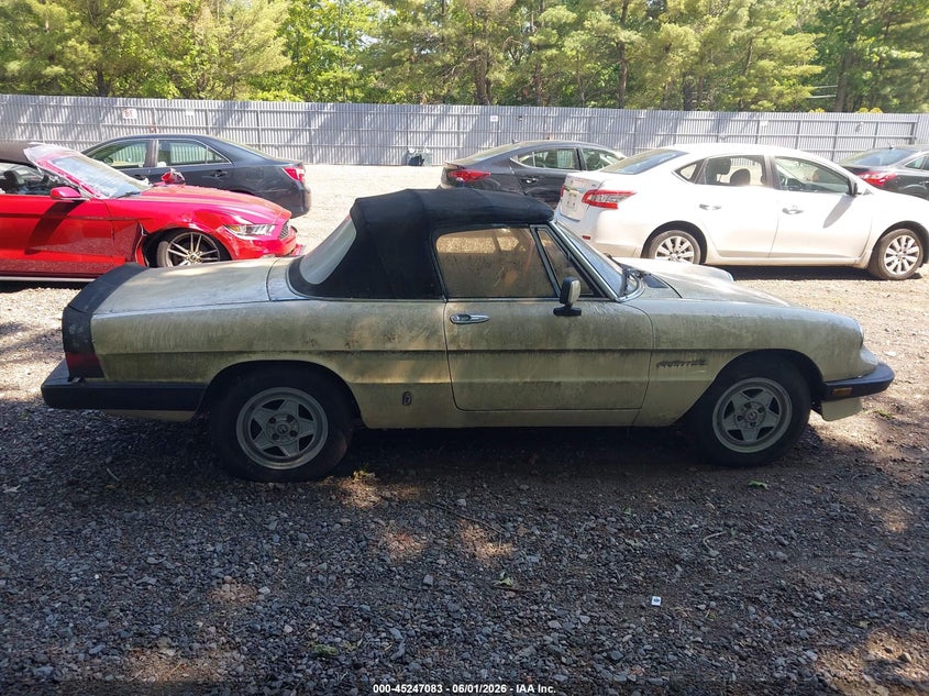 1984 Alfa Romeo Veloce 2000 Spider VIN: ZARBA5412E1020702 Lot: 45247083