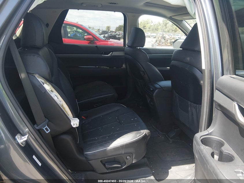 2025 Hyundai Palisade Xrt VIN: KM8R34GE1SU850203 Lot: 45247453