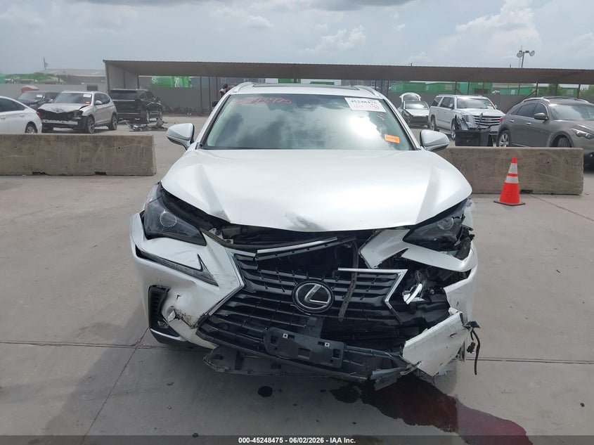 2021 Lexus Nx 300 VIN: JTJDARBZ3M5035460 Lot: 45248475