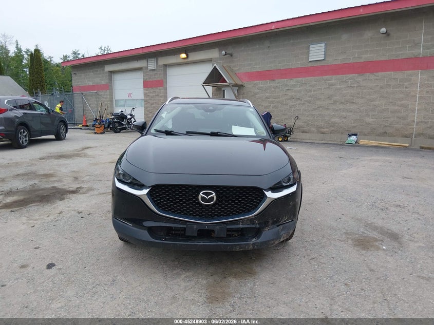 2023 Mazda Cx-30 2.5 S Premium VIN: 3MVDMBDM5PM546300 Lot: 45248903