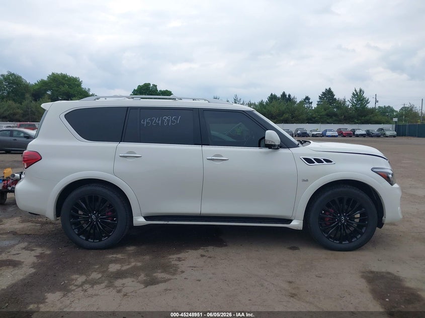 2017 Infiniti Qx80 VIN: JN8AZ2NE9H9159573 Lot: 45248951