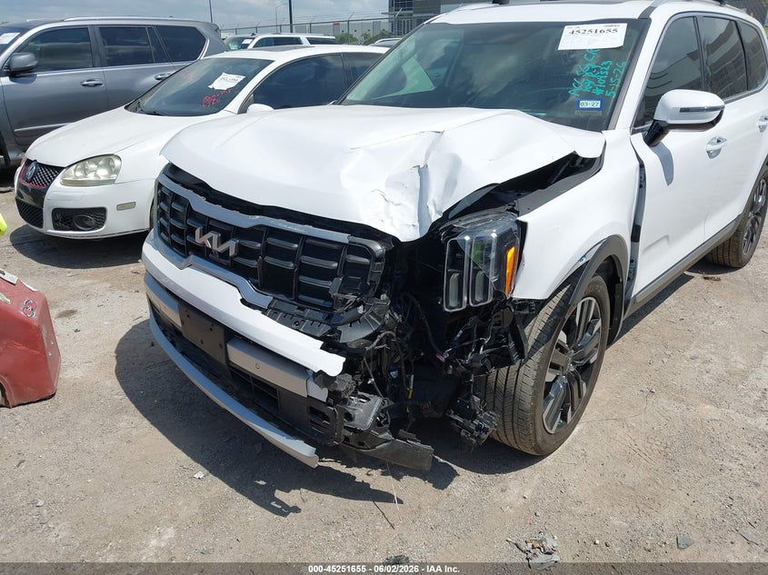 2024 Kia Telluride Sx Prestige VIN: 5XYP5DGC9RG487391 Lot: 45251655