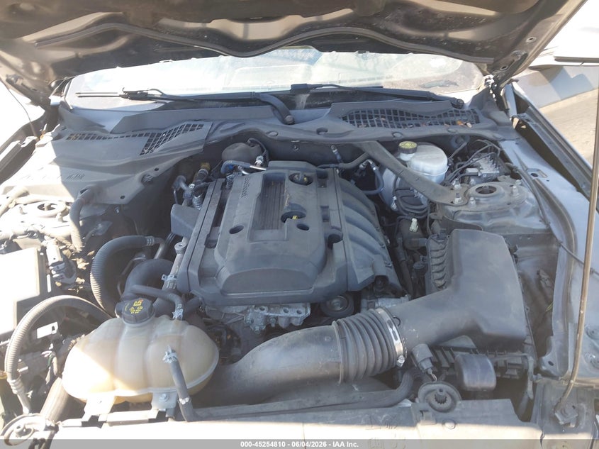 2019 Ford Mustang Ecoboost Premium VIN: 1FATP8UH6K5158684 Lot: 45254810