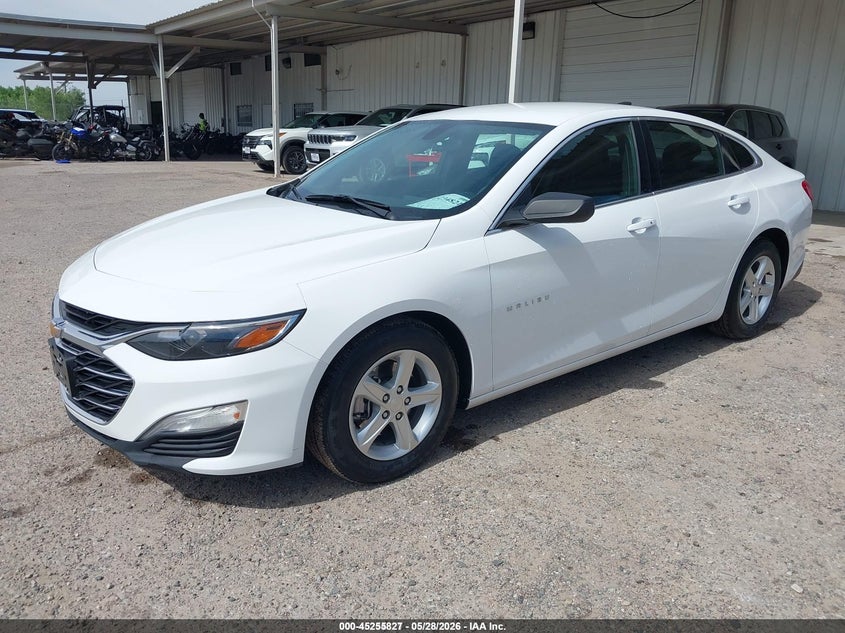 2020 Chevrolet Malibu Fwd 1fl 1G1ZC5ST7LF137305 photo 1