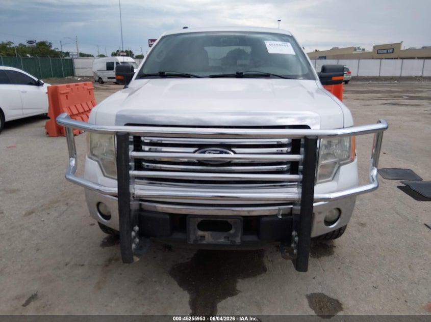 2011 Ford F-150 Xlt VIN: 1FTFW1EF1BFD29768 Lot: 45255953