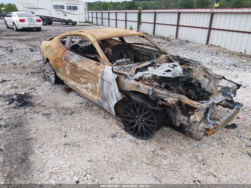 Vin: 1fa6p8cf4l5167396, lot: 45754911, ford mustang gt fastback 2020 img_1