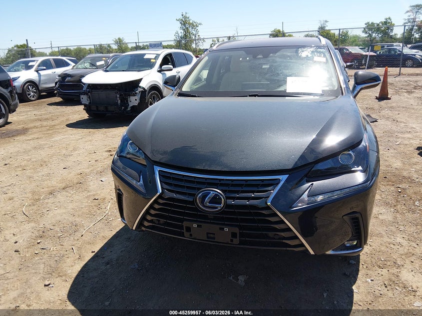 2021 Lexus Nx 300H VIN: JTJDJRDZ1M2162738 Lot: 45259957