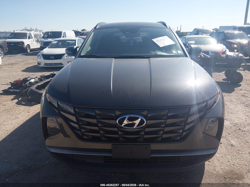 2023 Hyundai Tucson Sel VIN: 5NMJBCAE0PH207380 Lot: 45262257