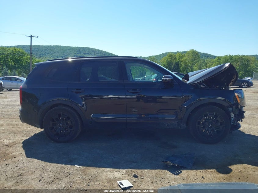 2022 Kia Telluride Sx VIN: 5XYP5DHC8NG296344 Lot: 45262652