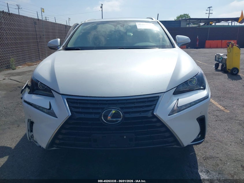 2019 Lexus Nx 300 VIN: JTJYARBZ0K2157919 Lot: 45263335
