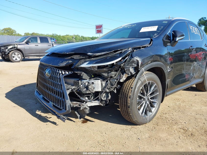 2024 LEXUS NX 350 auction photo 6